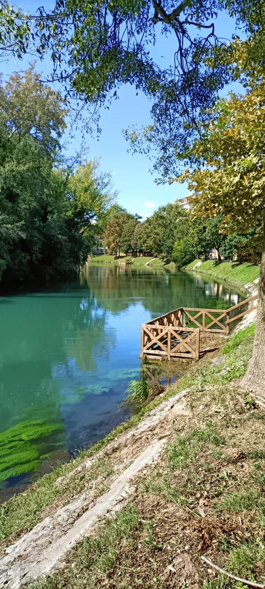 Appartamento Amalteo 3 Treviso Esterno foto