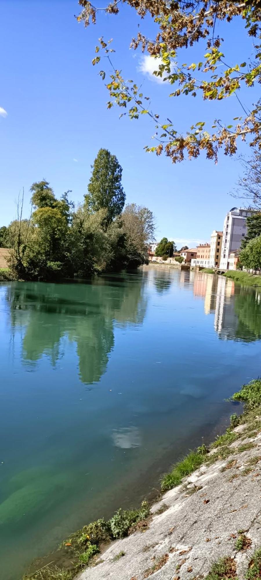 Appartamento Amalteo 3 Treviso Esterno foto