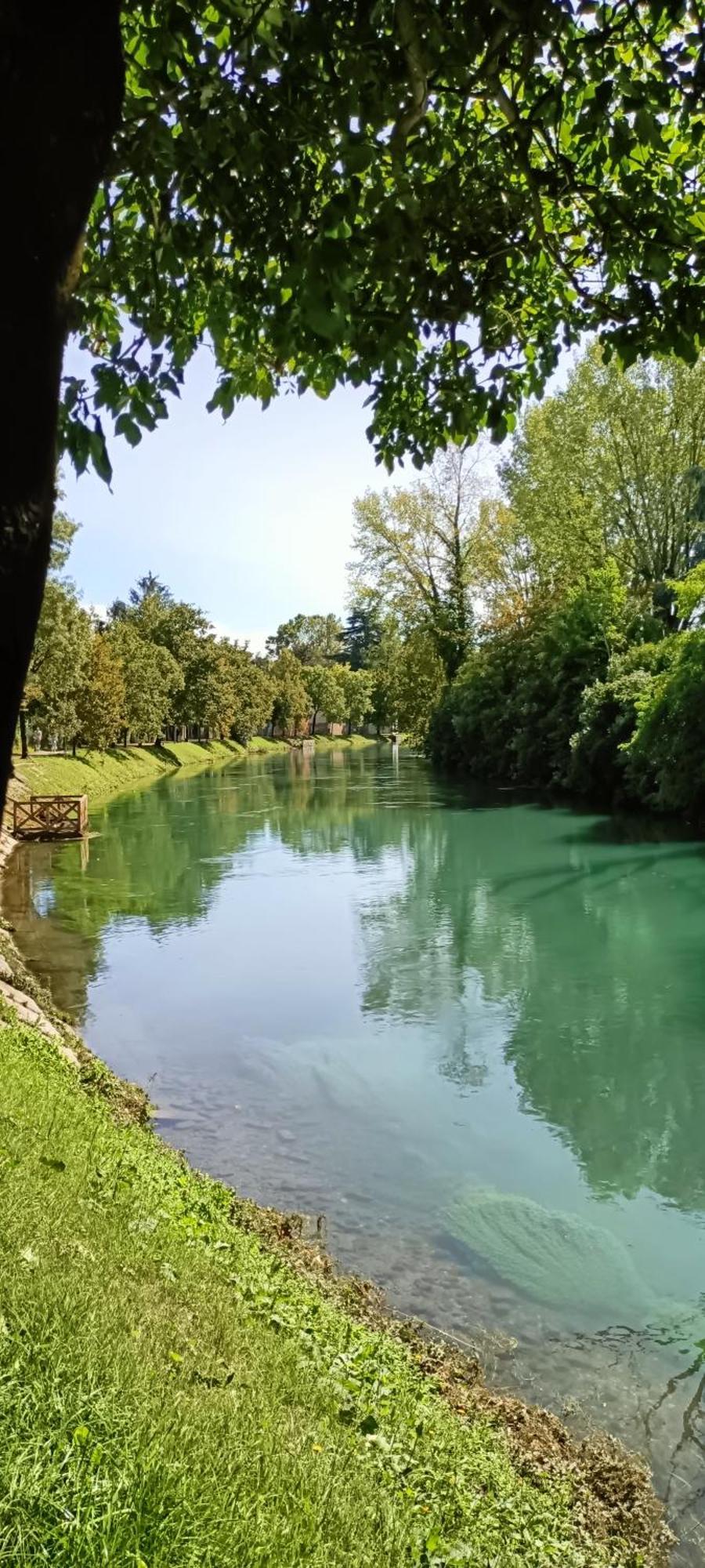 Appartamento Amalteo 3 Treviso Esterno foto